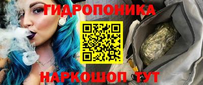 стафф Дубна