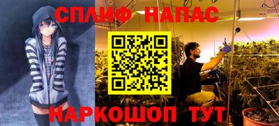 стафф Дубна